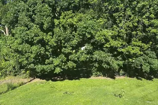 32 Ann St, Florence, KY 41042 - Photo 4