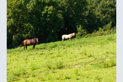250 Boltz Lake Road, Dry Ridge, KY 41035 - Photo 36