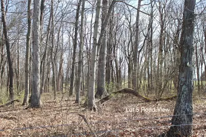 1474 Poindexter Road, Cynthiana, KY 41031 - Photo 6