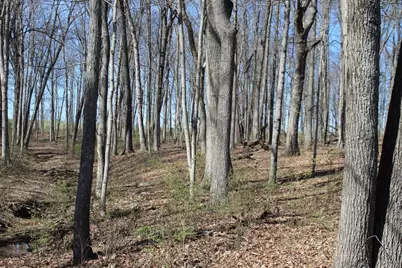 1480 Poindexter Road, Cynthiana, KY 41031 - Photo 6
