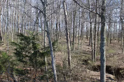 1480 Poindexter Road, Cynthiana, KY 41031 - Photo 4