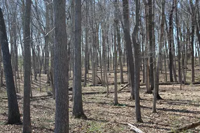 2316 Kentucky 1743 Hwy, Cynthiana, KY 41031 - Photo 4