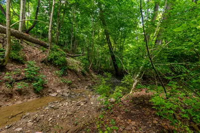 1417 N Bend Road, Hebron, KY 41048 - Photo 32