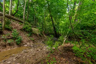 1417 N Bend Rd, Hebron, KY 41048 - Photo 32