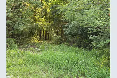 000 Wild Deer Lane, Corinth, KY 41010 - Photo 6