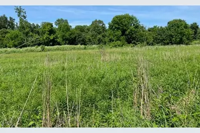 113 Lee's Creek Road, Dover, KY 41034 - Photo 12