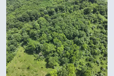 113 Lee's Creek Road, Dover, KY 41034 - Photo 22