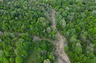 9477 Beechgrove Rd, Burlington, KY 41005 - Photo 26