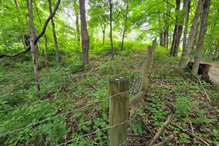 9477 Beechgrove Rd, Burlington, KY 41005 - Photo 16