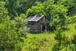 9766 Sullivan Rd, Union, KY 41091 - Photo 46