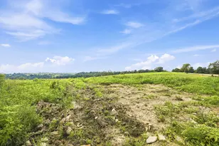 525 Chipman Ridge Rd, Williamstown, KY 41097 - Photo 40