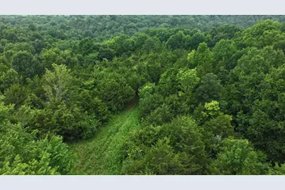 10792 New Columbus Road, Owenton, KY 40359 - Photo 14