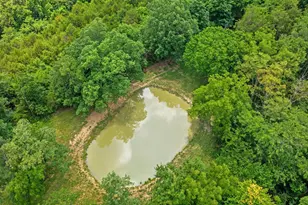 783 Rutland Rd, Cynthiana, KY 41031 - Photo 42