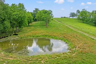 783 Rutland Rd, Cynthiana, KY 41031 - Photo 40