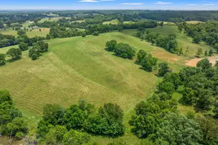 783 Rutland Rd, Cynthiana, KY 41031 - Photo 46