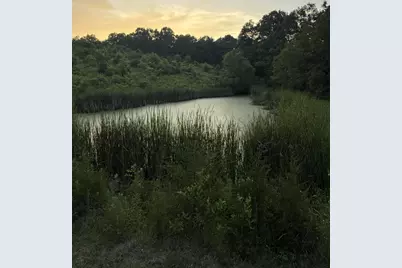 00 Swope Natlee Road, Corinth, KY 41010 - Photo 14