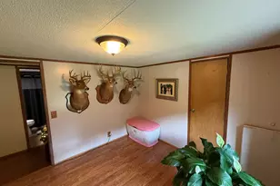145 Sawdridge Rd, Owenton, KY 40359 - Photo 34