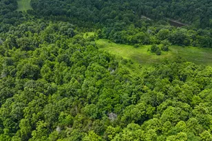 0 Little Cabin, Vanceburg, KY 41179 - Photo 6