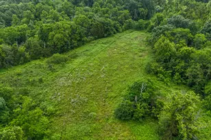 0 Little Cabin, Vanceburg, KY 41179 - Photo 36