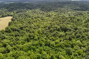 0 Little Cabin, Vanceburg, KY 41179 - Photo 10
