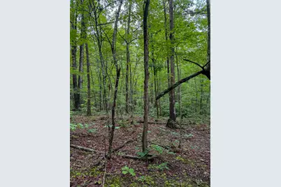 0 Thorp Ridge Road, Vanceburg, KY 41179 - Photo 2