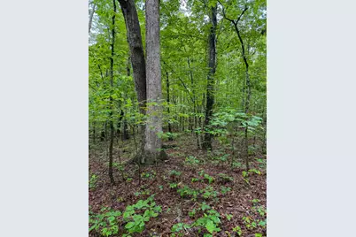 0 Thorp Ridge Road, Vanceburg, KY 41179 - Photo 8