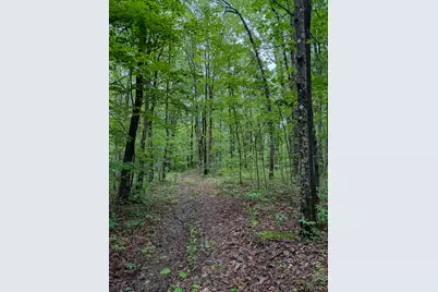 0 Thorp Ridge Road, Vanceburg, KY 41179 - Photo 12