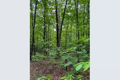 0 Thorp Ridge Road, Vanceburg, KY 41179 - Photo 4
