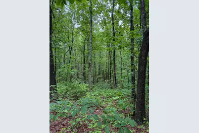 0 Thorp Ridge Road, Vanceburg, KY 41179 - Photo 10