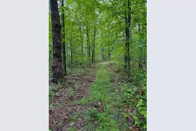 0 Thorp Ridge Road, Vanceburg, KY 41179 - Photo 14