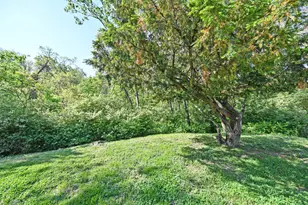 164 Summit Ave, Fort Thomas, KY 41075 - Photo 16