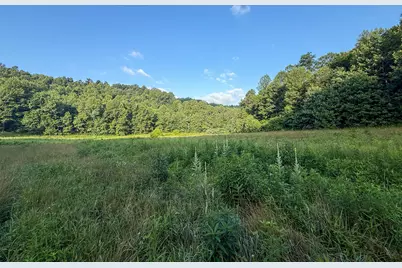 00 Thorp Ridge, Vanceburg, KY 41179 - Photo 24