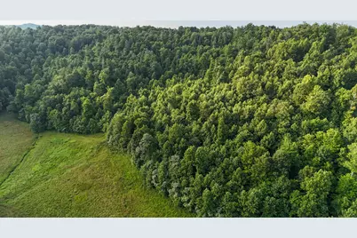 00 Thorp Ridge, Vanceburg, KY 41179 - Photo 10