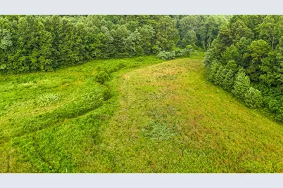 00 Thorp Ridge, Vanceburg, KY 41179 - Photo 6