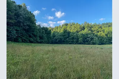00 Thorp Ridge, Vanceburg, KY 41179 - Photo 14