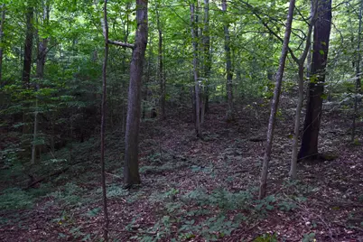 0 Spring Road, Wallingford, KY 41093 - Photo 12