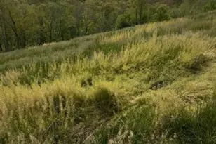 3766 Steep Creek Rd, Latonia, KY 41015 - Photo 2