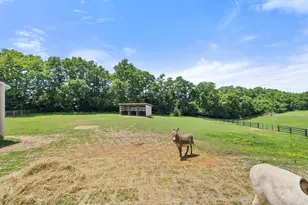 12005 Old Lexington Pike, Walton, KY 41094 - Photo 36