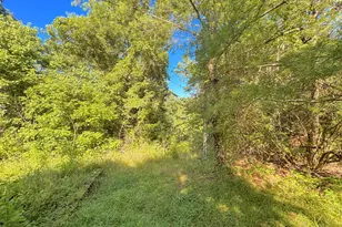 3664 Fiskburg Rd, Morningview, KY 41063 - Photo 28