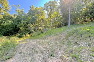 3664 Fiskburg Rd, Morningview, KY 41063 - Photo 32