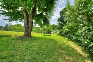 313 James Ave Ave, Erlanger, KY 41018 - Photo 30