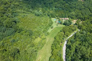 2780 Dry Creek Rd, Sparta, KY 41086 - Photo 46