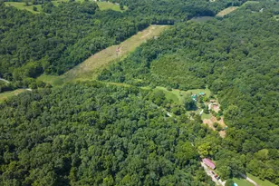 2780 Dry Creek Rd, Sparta, KY 41086 - Photo 48