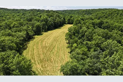 1629 Ky Highway 1130, Sanders, KY 41083 - Photo 34