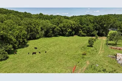 1629 Ky Highway 1130, Sanders, KY 41083 - Photo 22