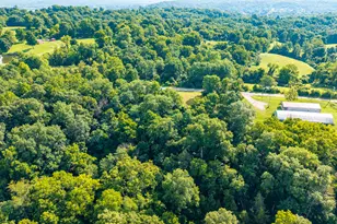 0 Hwy 455, Sparta, KY 41086 - Photo 8