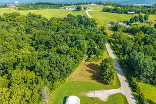 0 Hwy 455, Sparta, KY 41086 - Photo 6