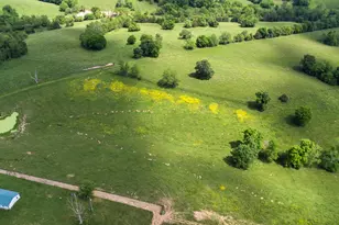 850 W Gardner Rd, Cynthiana, KY 41031 - Photo 26