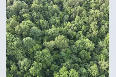 817 Galbraith Road, Brooksville, KY 41004 - Photo 4
