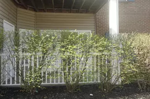 955 Mistflower Ln, Florence, KY 41042 - Photo 34